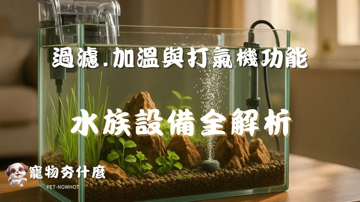 水族設備全解析