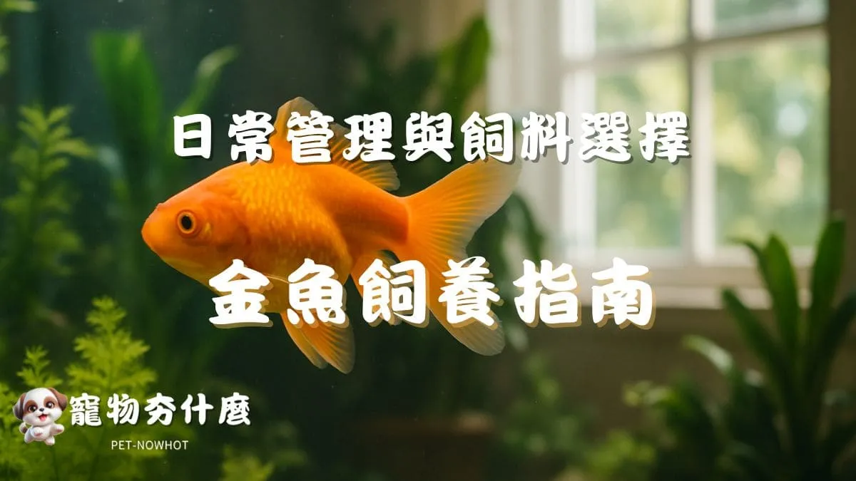 金魚飼養指南