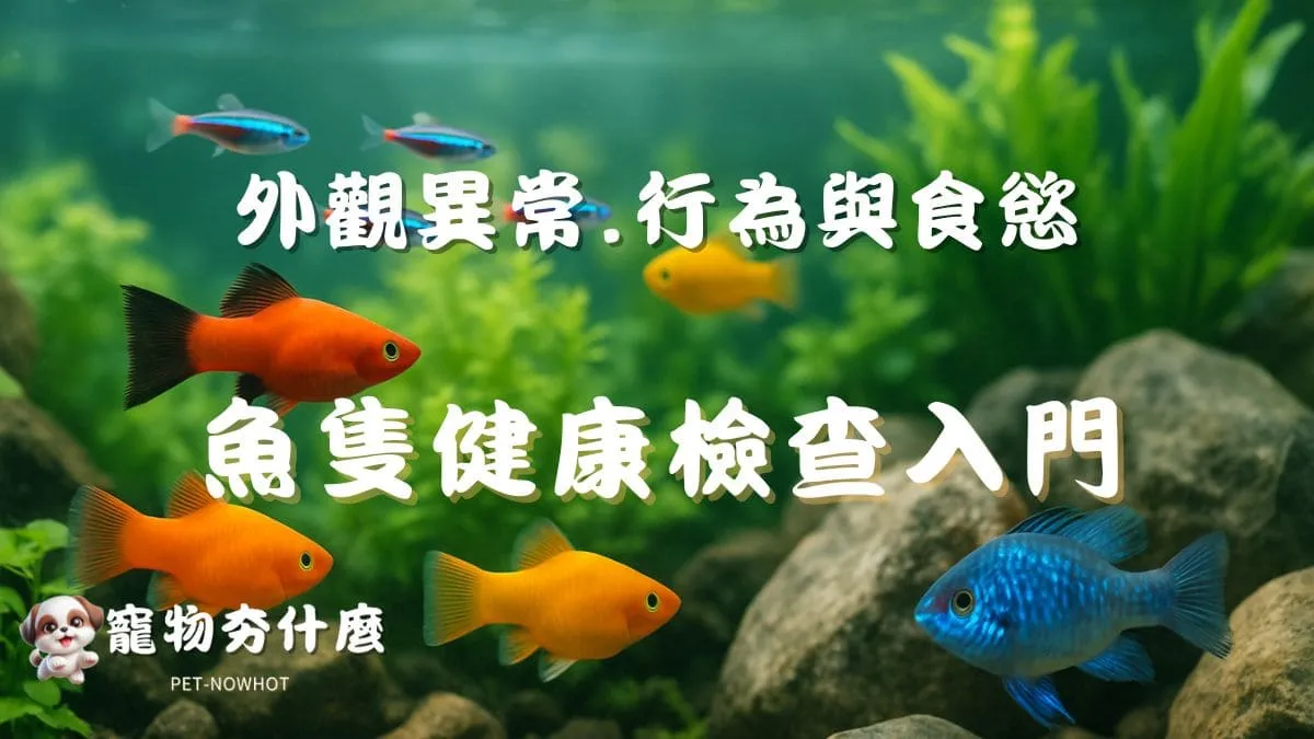 魚隻健康檢查入門