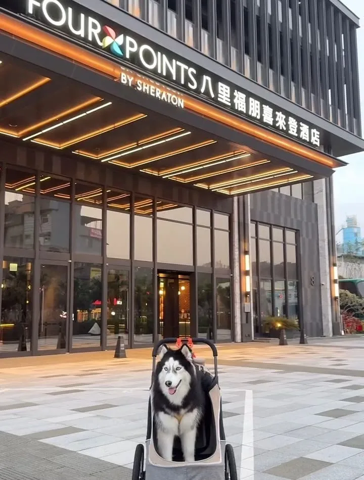 八里福朋喜來登酒店
