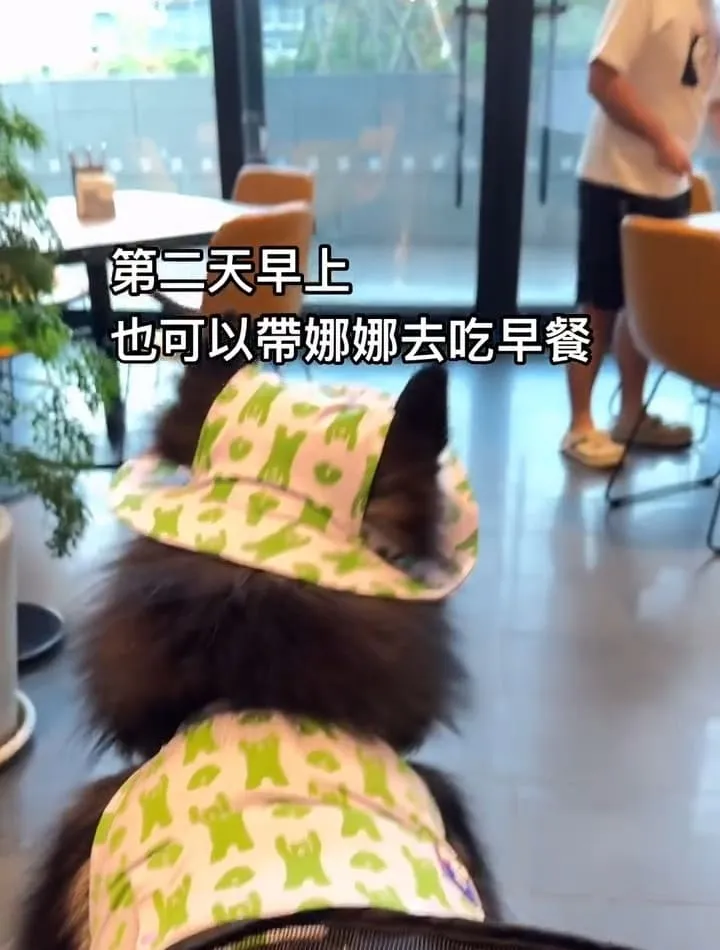 八里福朋喜來登酒店