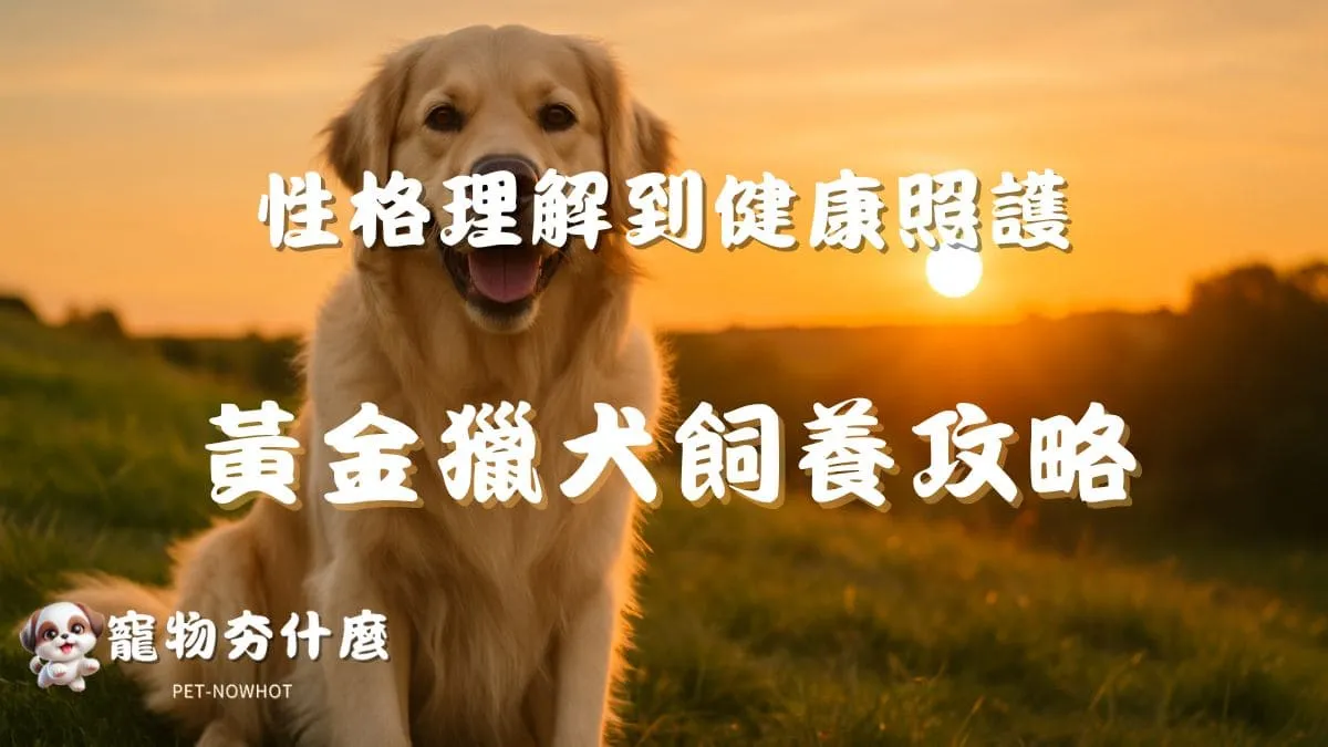 黃金獵犬飼養全攻略
