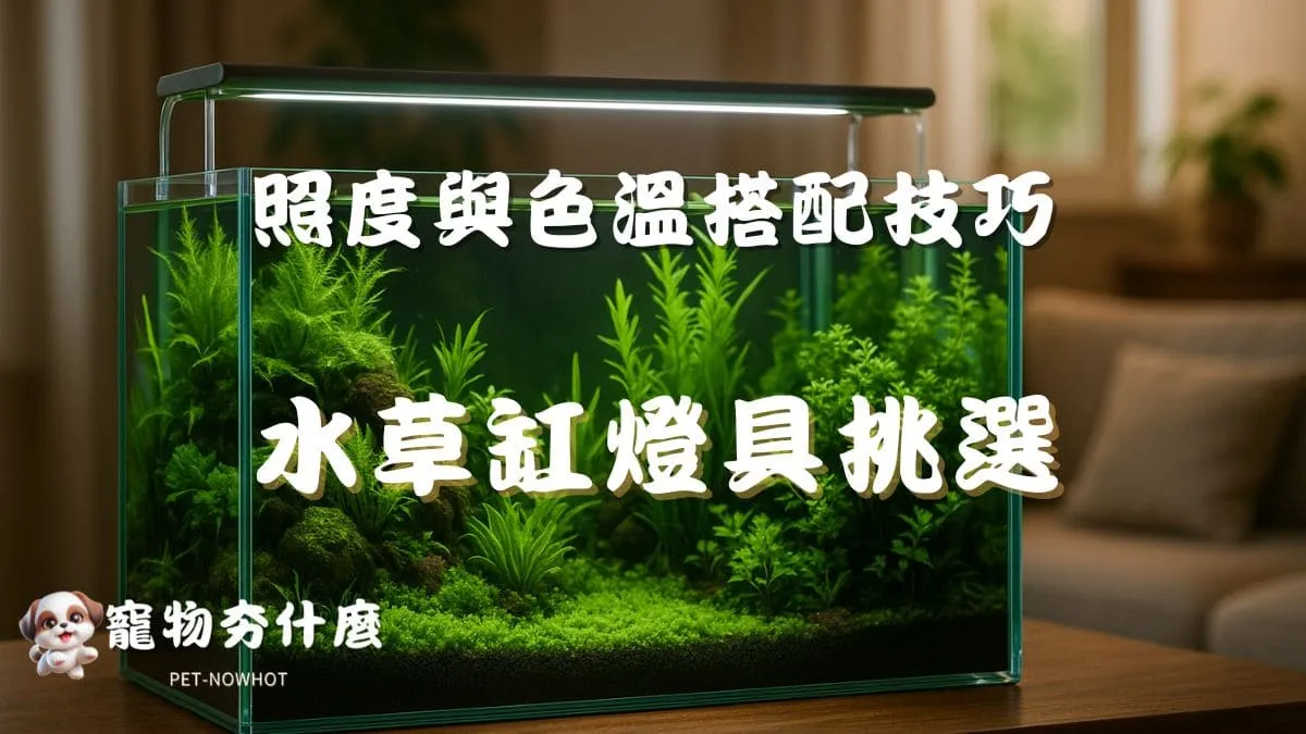 水草缸燈具挑選指南