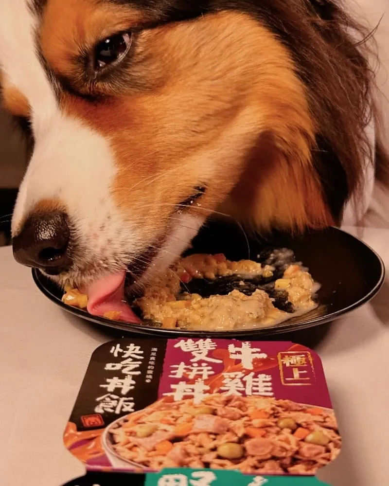 Toma-Pro優格寵物食譜