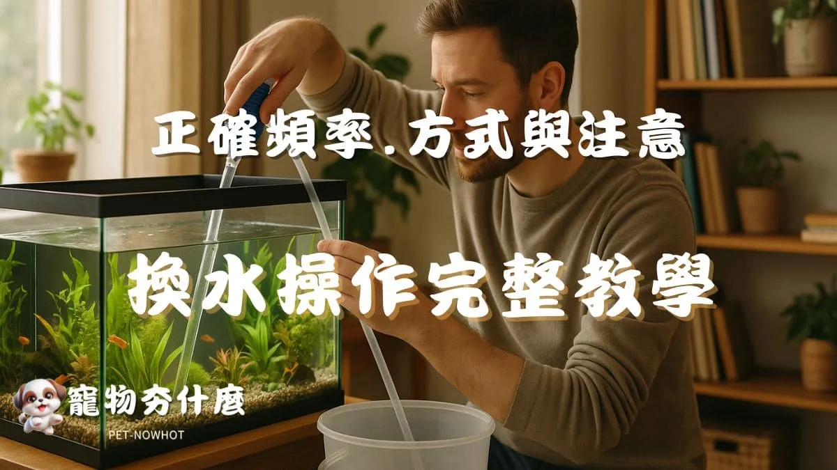 換水操作完整教學