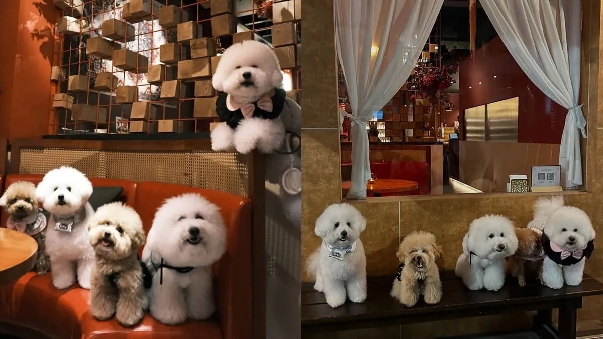 一點酒意·小酒家嘉義店
