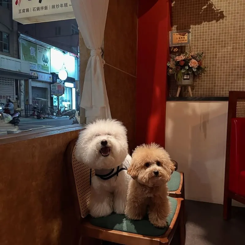 一點酒意·小酒家