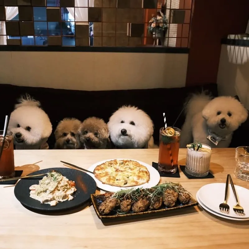 一點酒意·小酒家