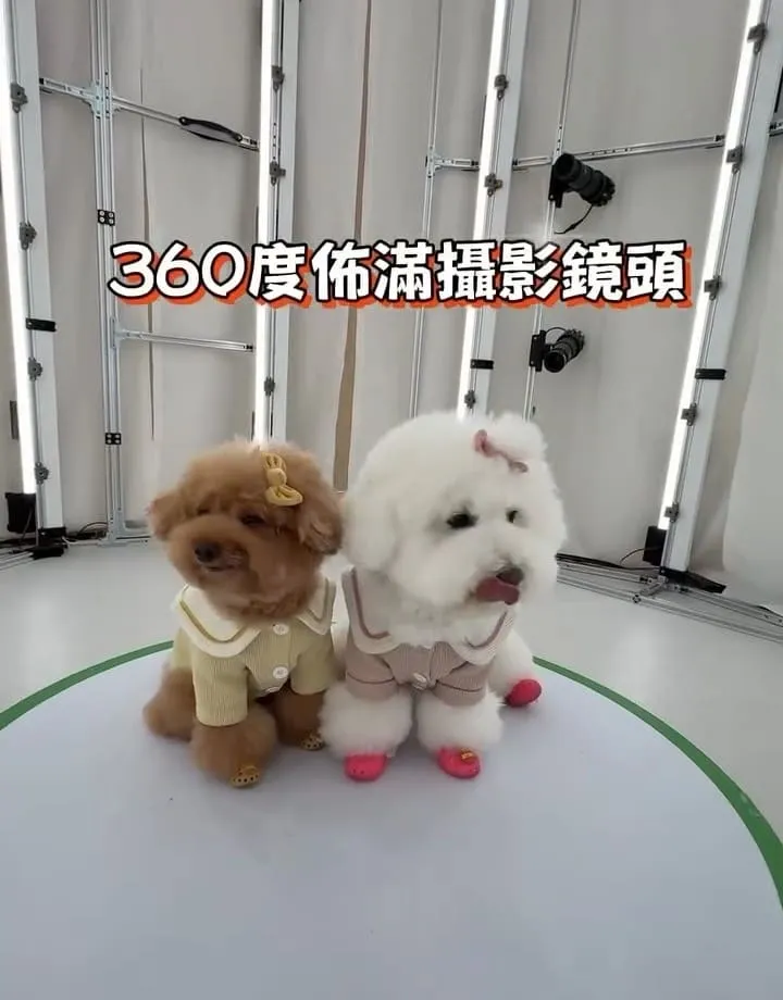 3D Shots寵物真人3D列印
