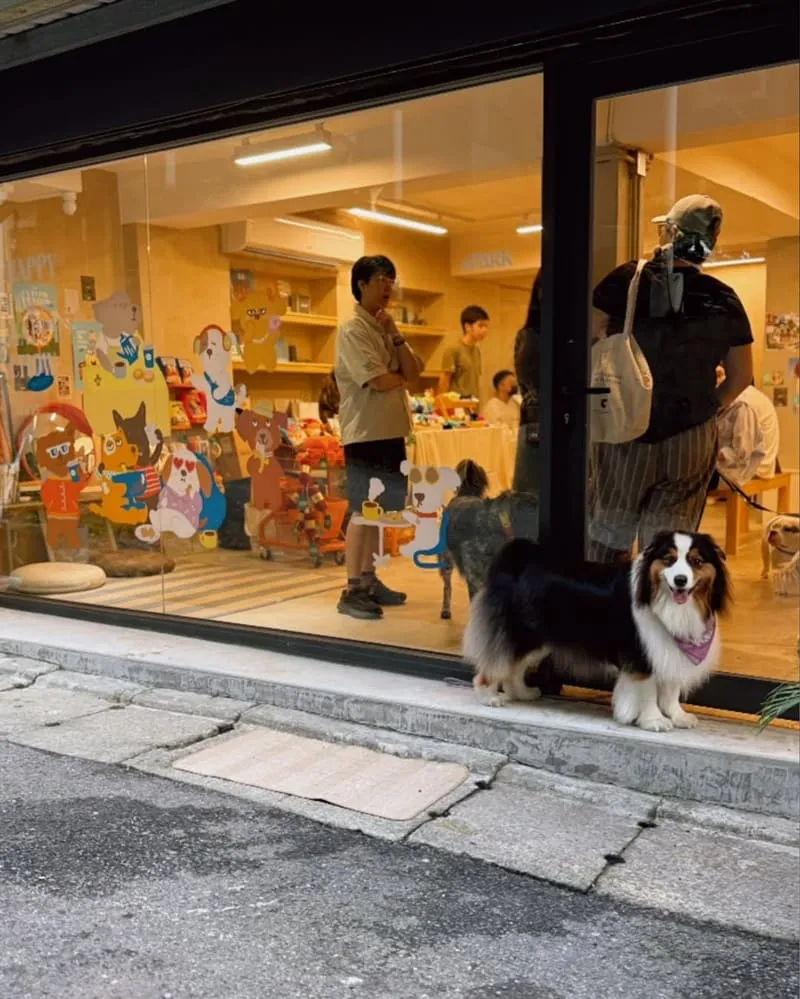 And Park 寵物市集第二季