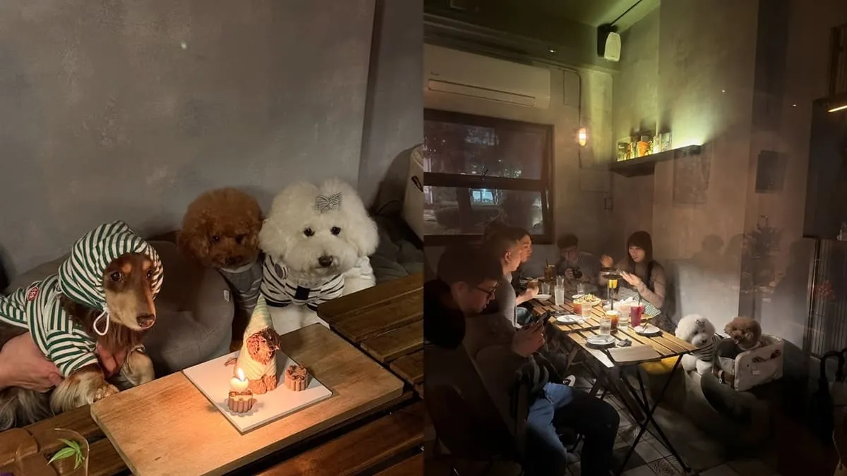 Another Eatery 寵物友善餐酒館