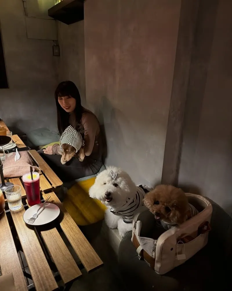 Another Eatery 寵物友善餐酒館