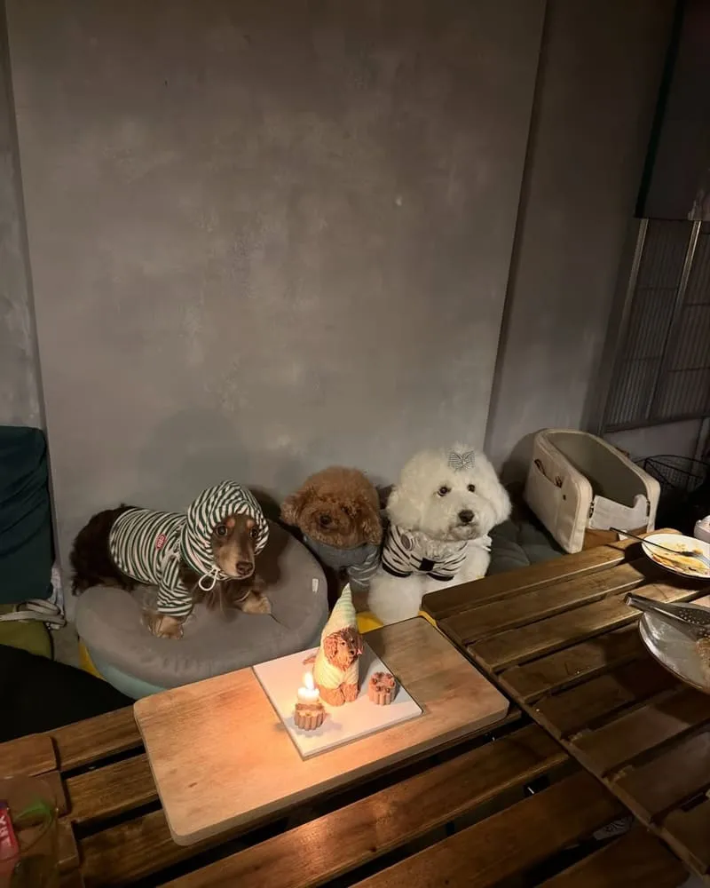 Another Eatery 寵物友善餐酒館