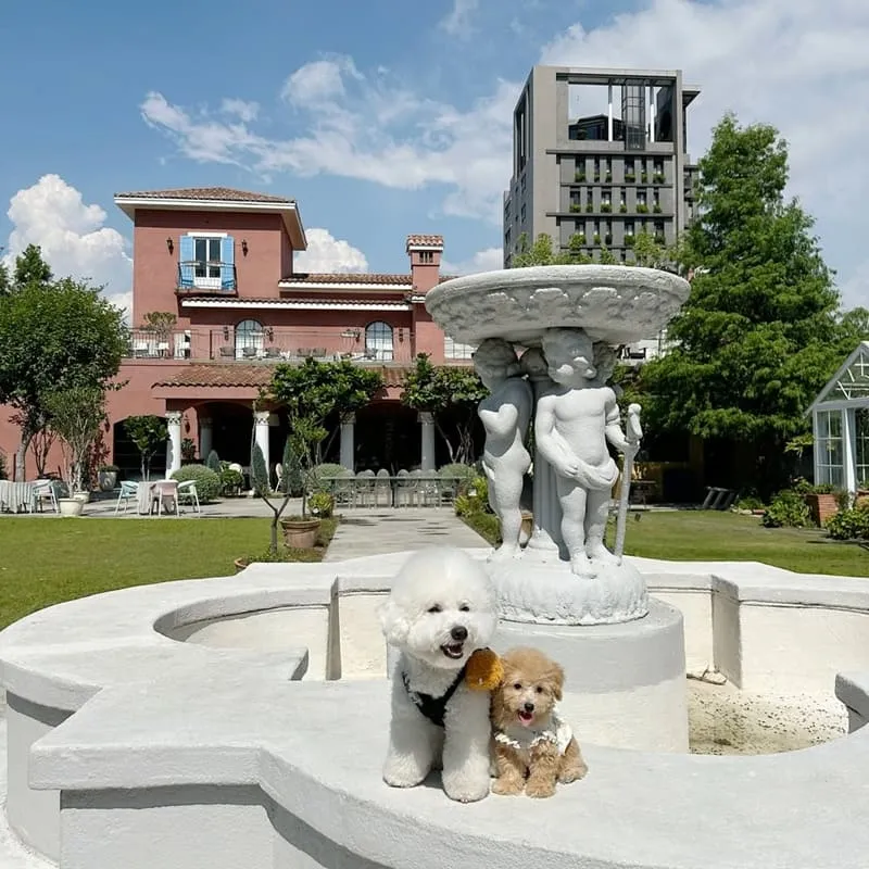 Bacitali 小義大利