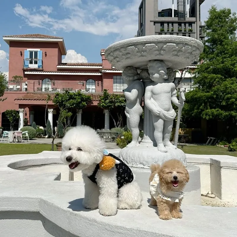 Bacitali 小義大利
