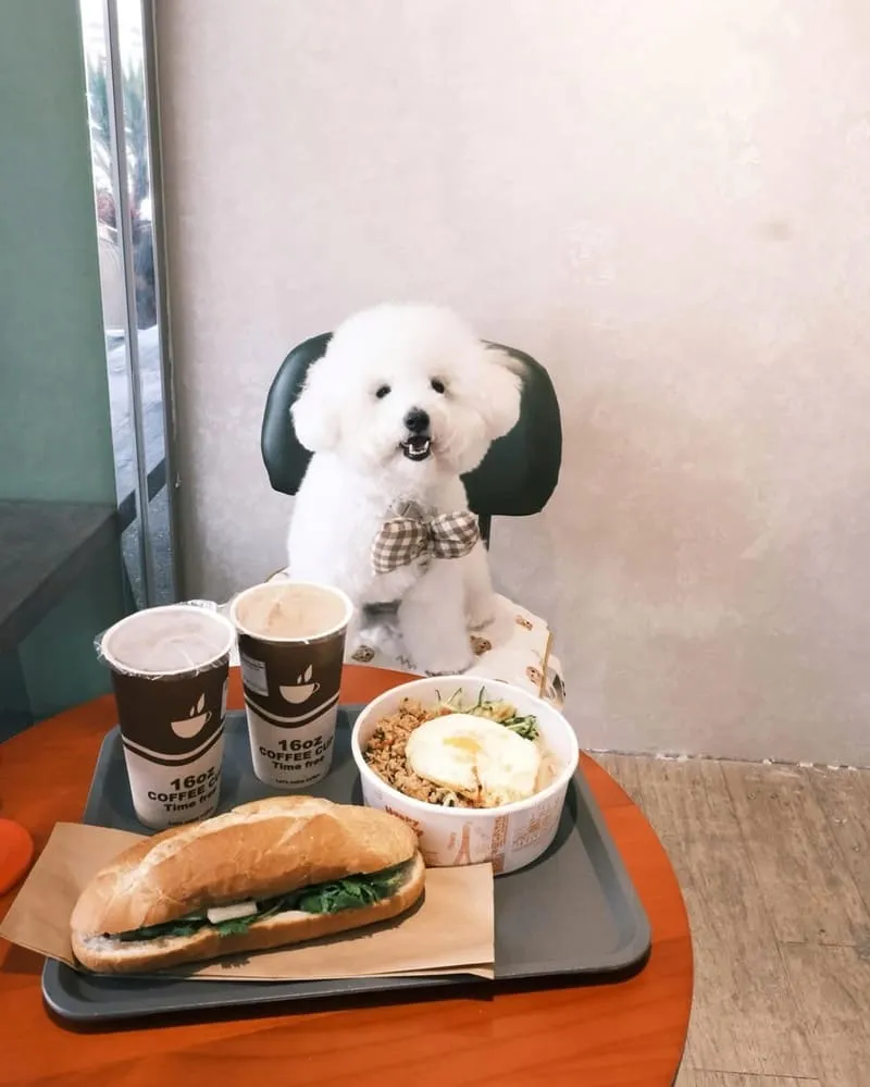 棒迷越南法國麵包專賣店