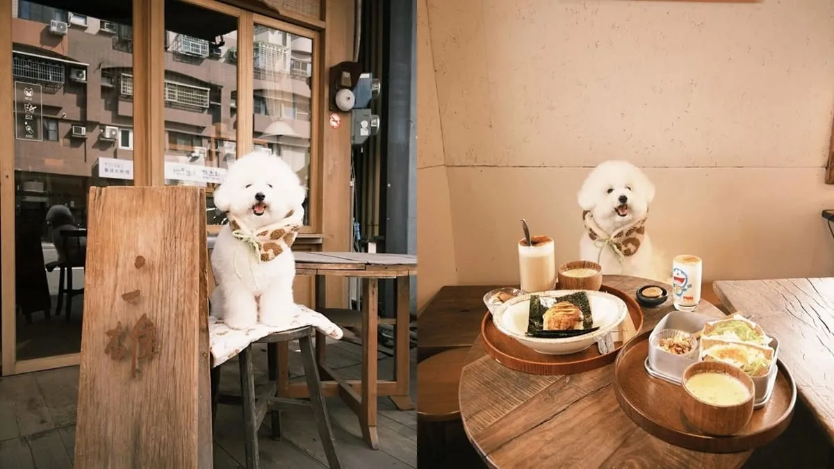 二雄 BOG TEA SHOP