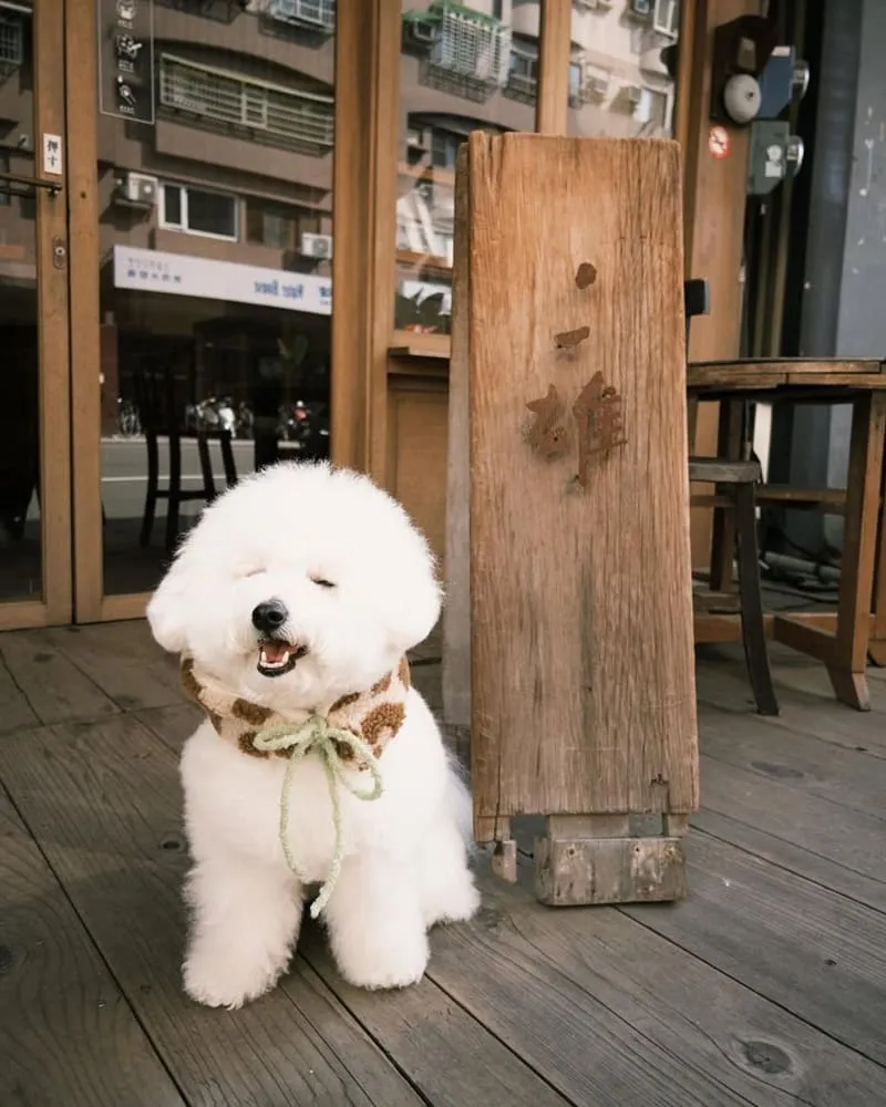 二雄 BOG TEA SHOP