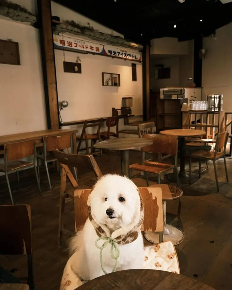 二雄 BOG TEA SHOP