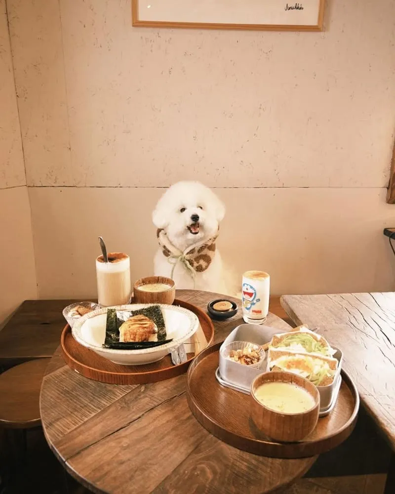 二雄 BOG TEA SHOP