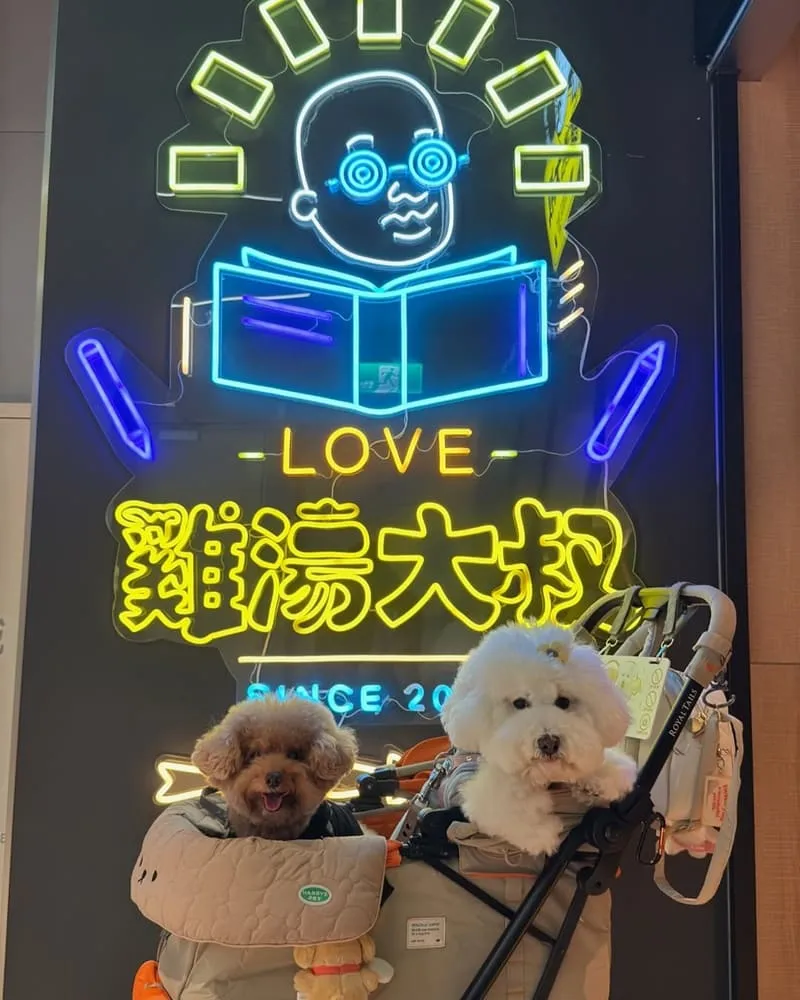 雞湯大叔桃園藝文店