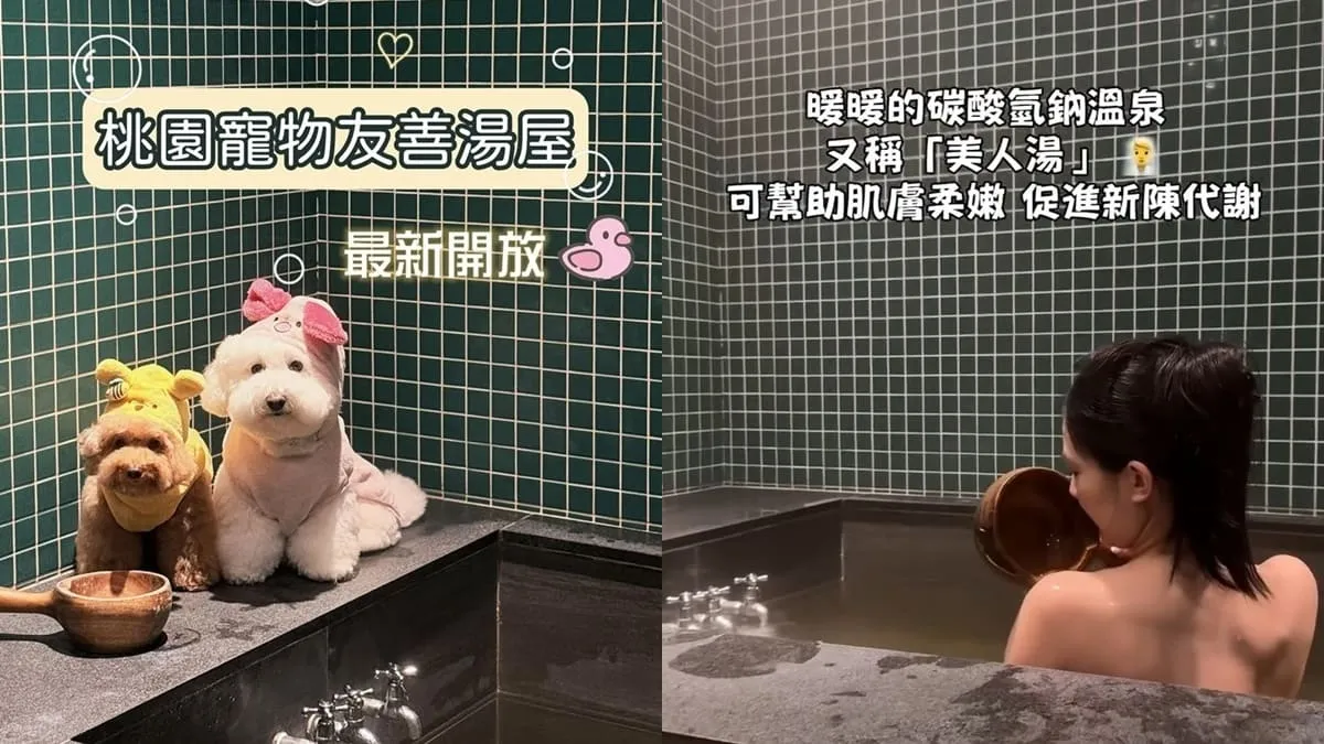 泡浮 Bubble Float｜桃園平鎮寵物友善溫泉