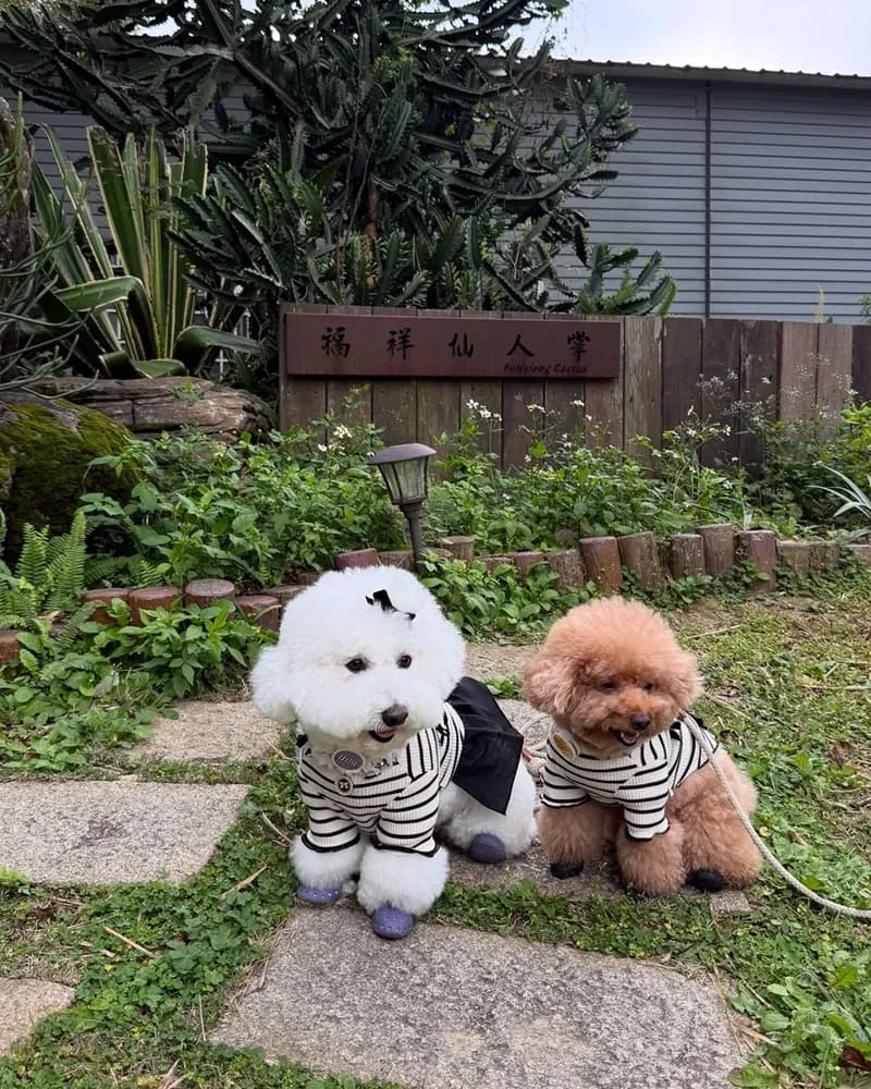 福祥仙人掌與多肉植物園