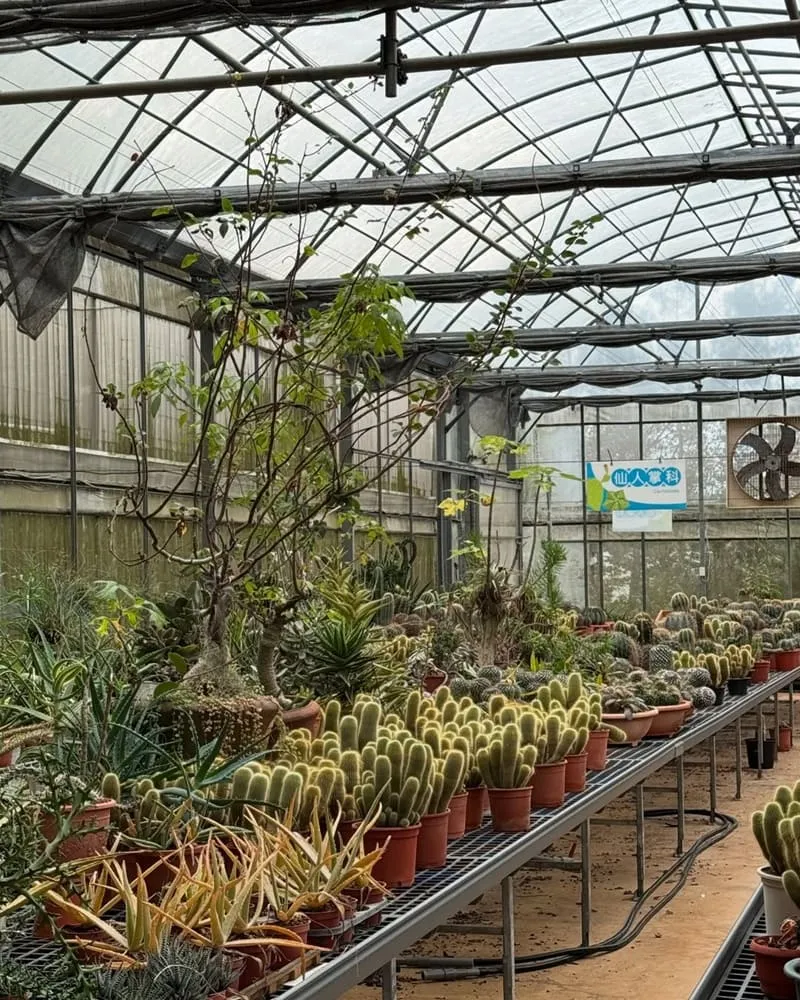 福祥仙人掌與多肉植物園