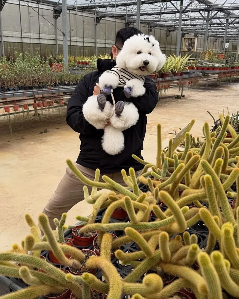 福祥仙人掌與多肉植物園