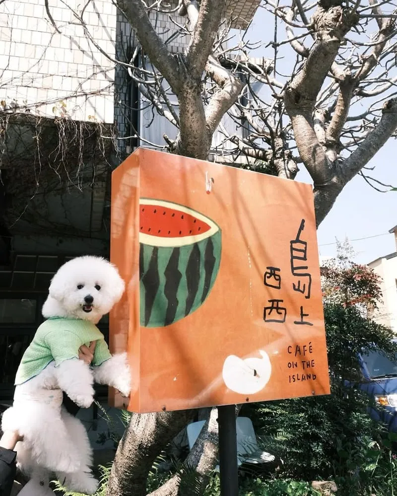 嘉義島上西西