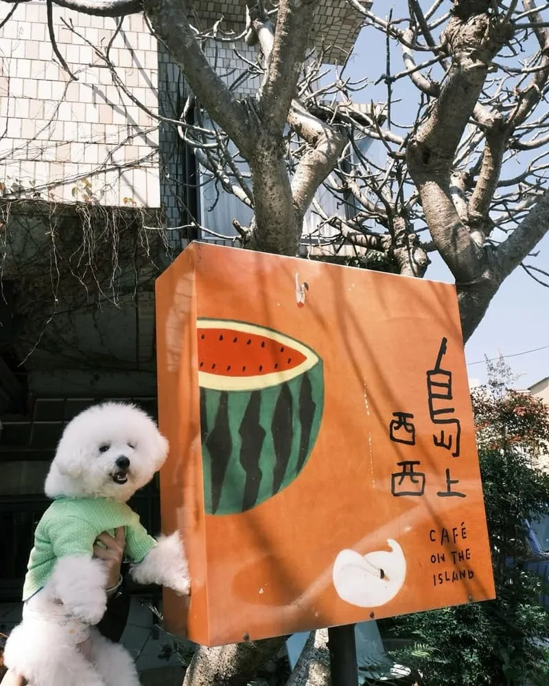 嘉義島上西西