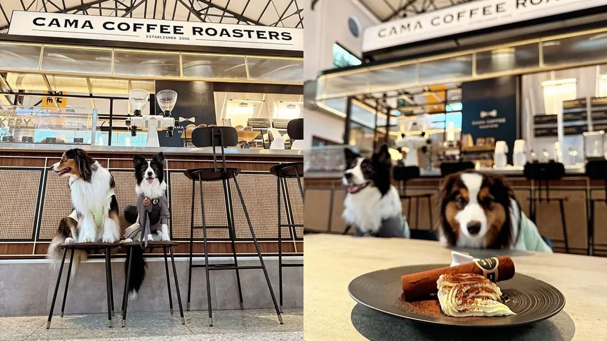 豆留文青 Cama Coffee Roasters