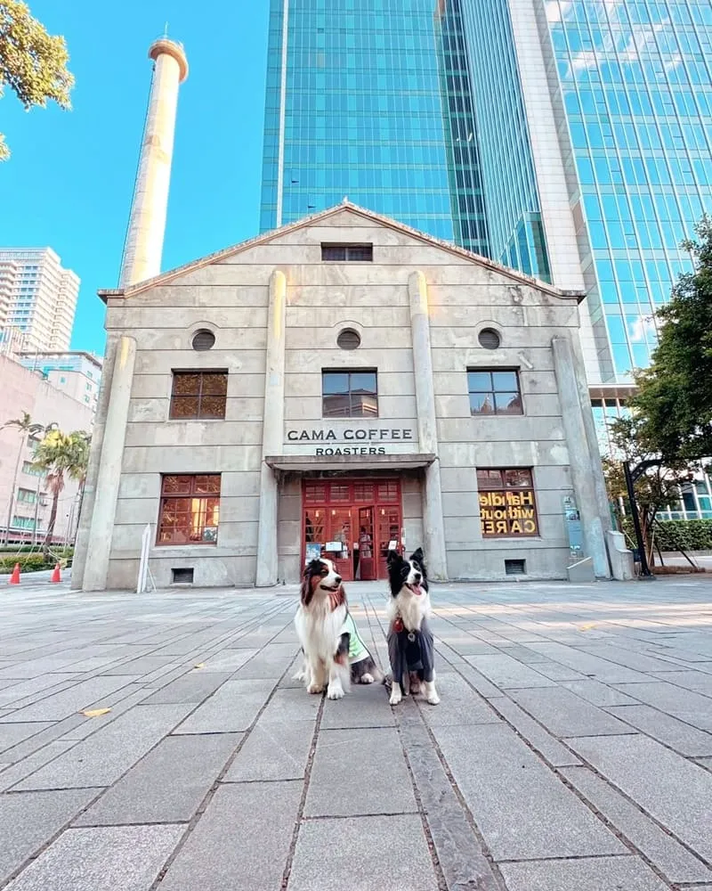豆留文青 Cama Coffee Roasters