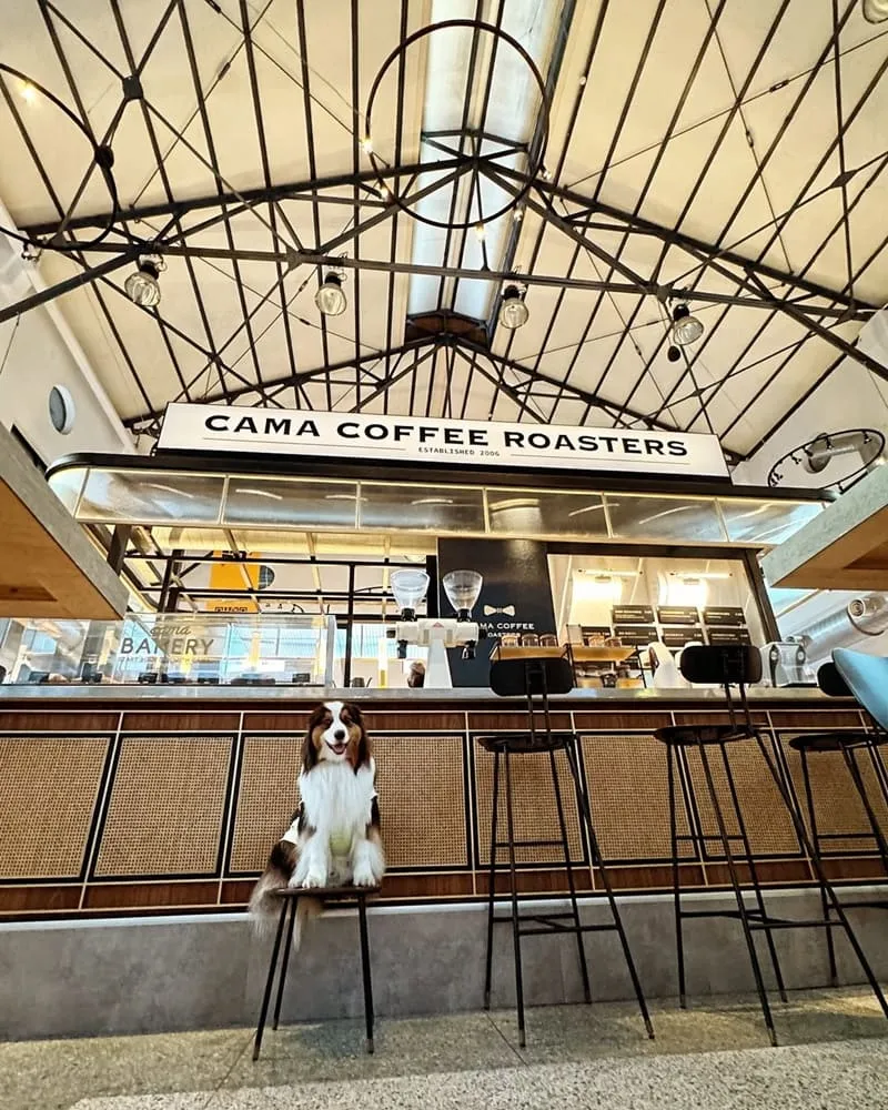 豆留文青 Cama Coffee Roasters
