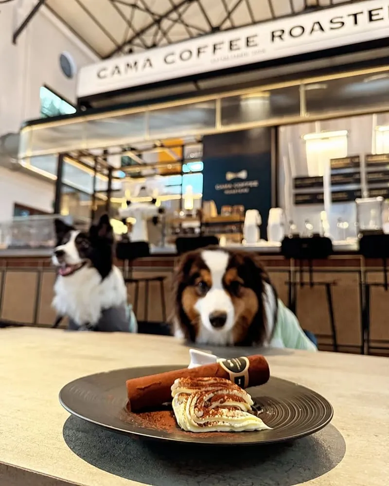 豆留文青 Cama Coffee Roasters