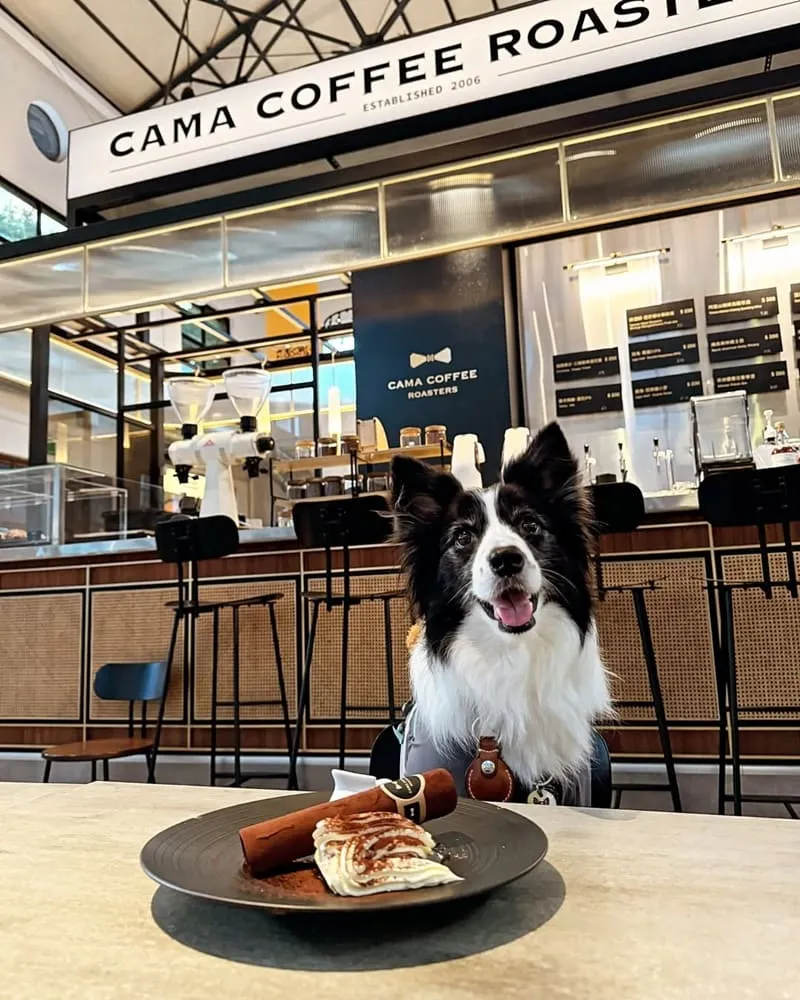 豆留文青 Cama Coffee Roasters