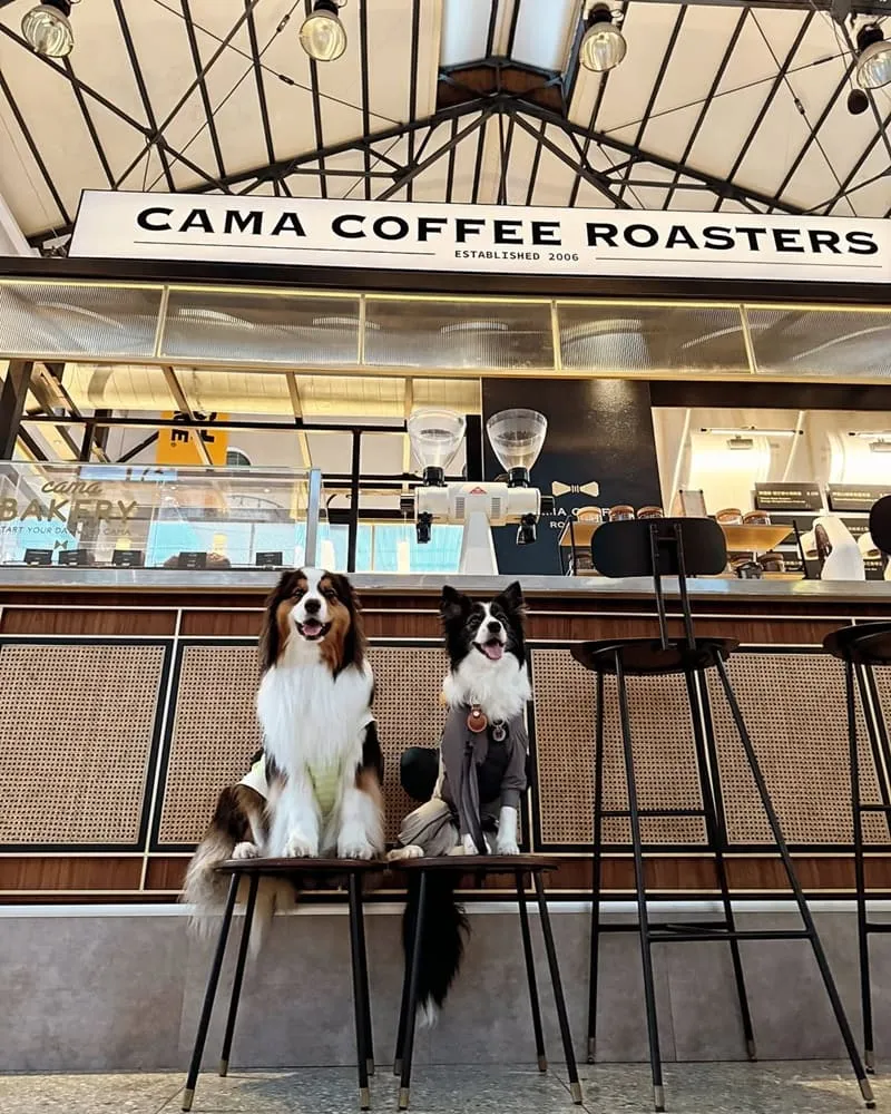 豆留文青 Cama Coffee Roasters