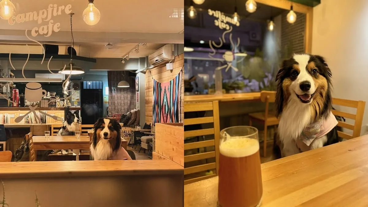 營火 Campfire Cafe