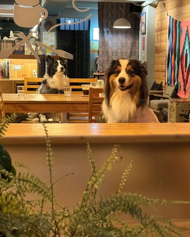 營火 Campfire Cafe