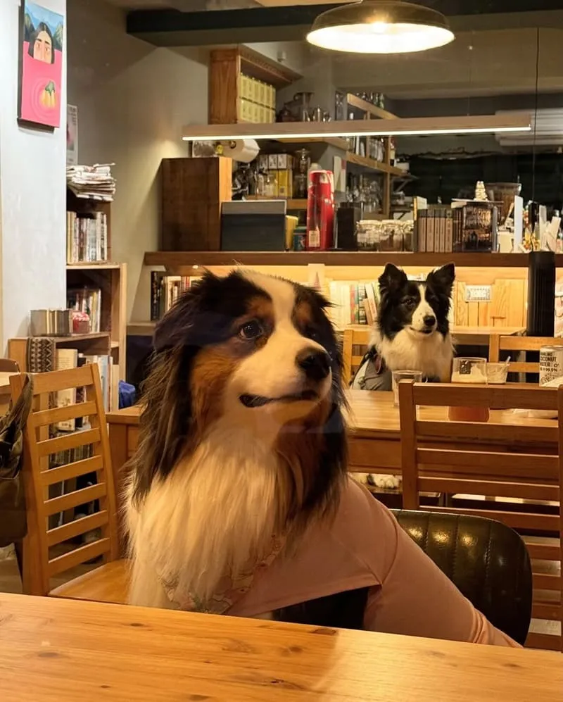 營火 Campfire Cafe