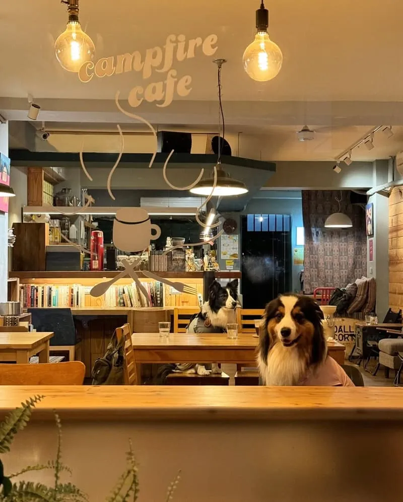營火 Campfire Cafe