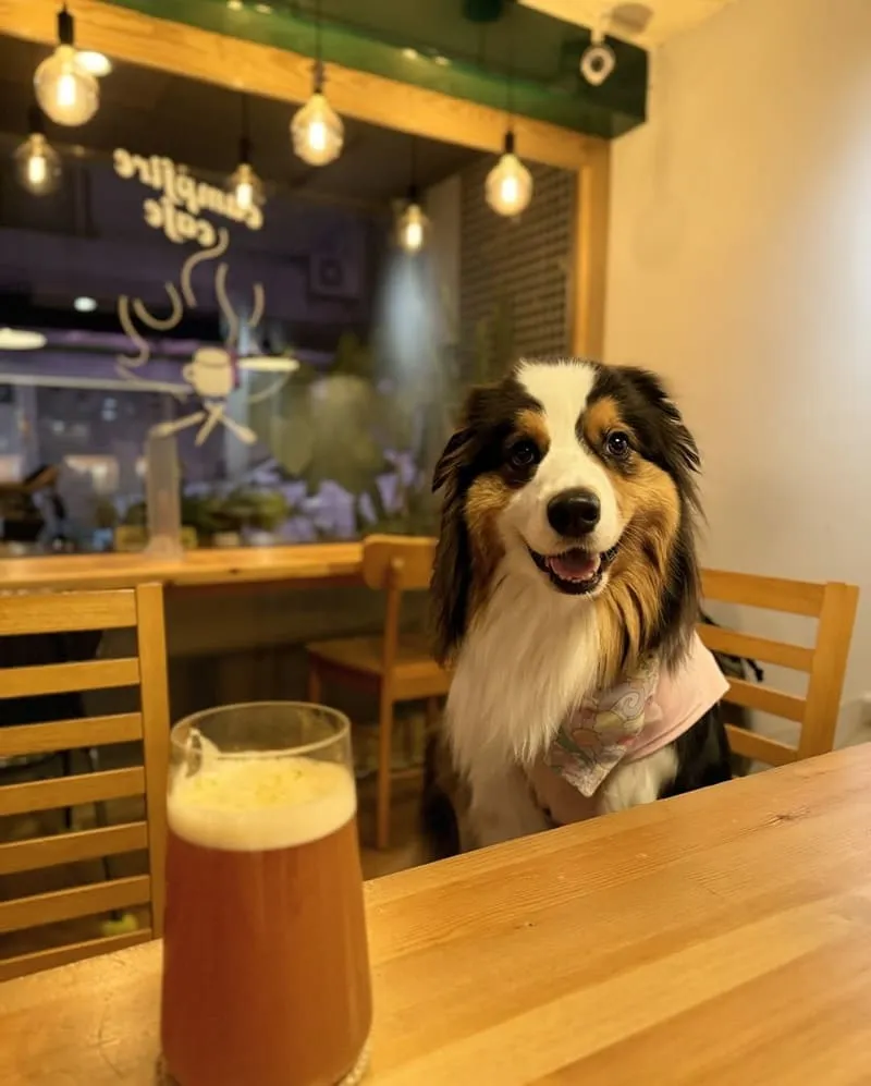 營火 Campfire Cafe