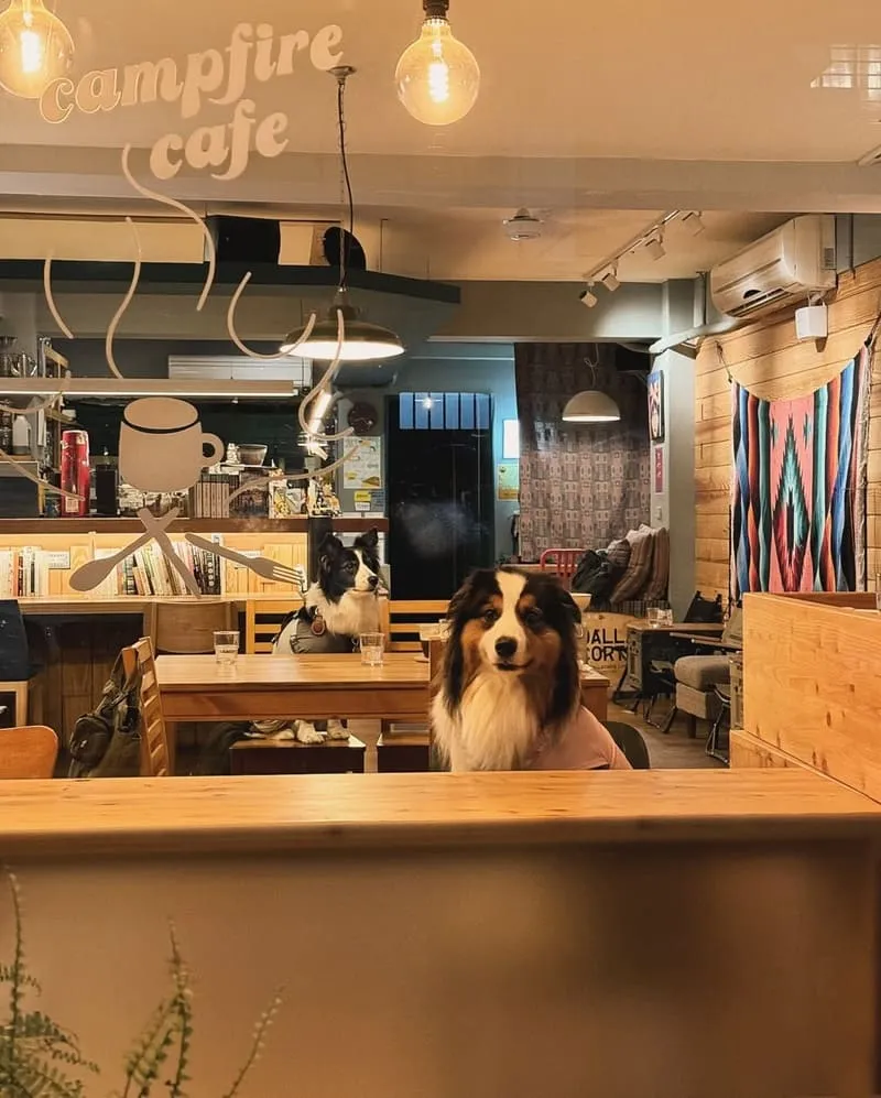 營火 Campfire Cafe