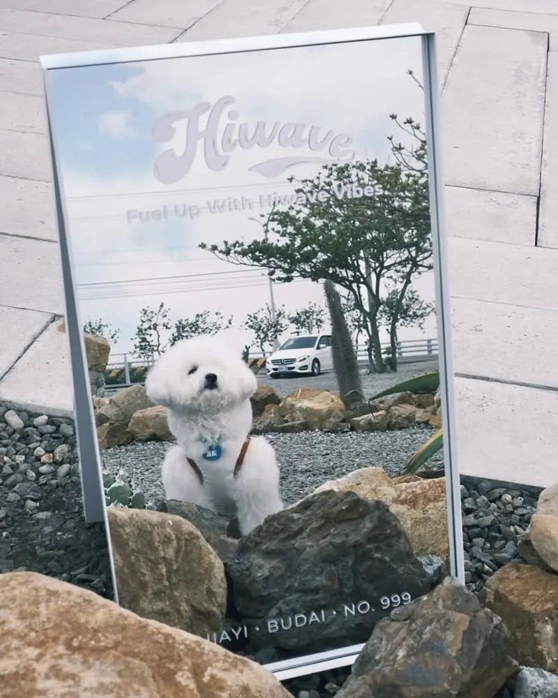 海味咖啡 Hiwave Coffee