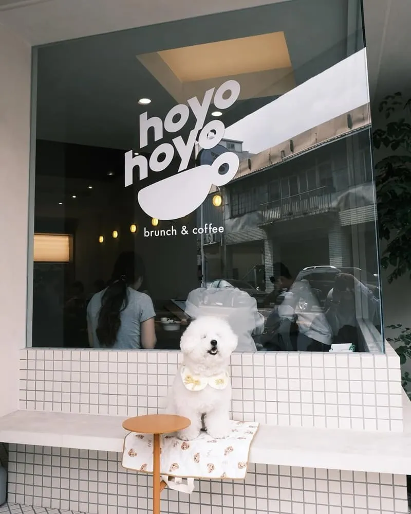嘉義hoyohoyo早午餐
