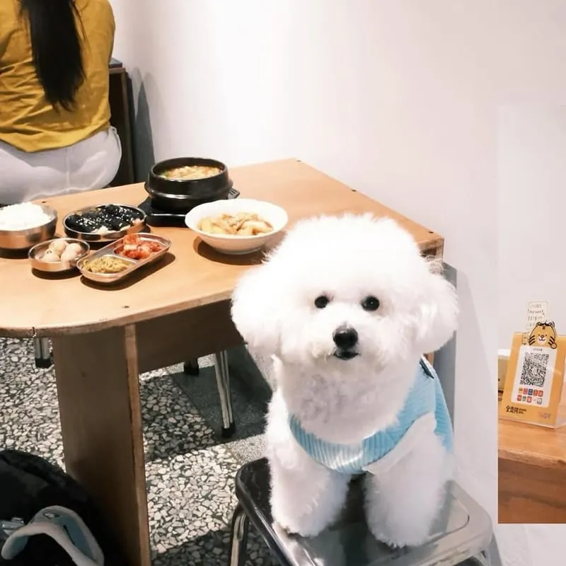 ㄓㄨㄤ小菜嘉義韓式小料理