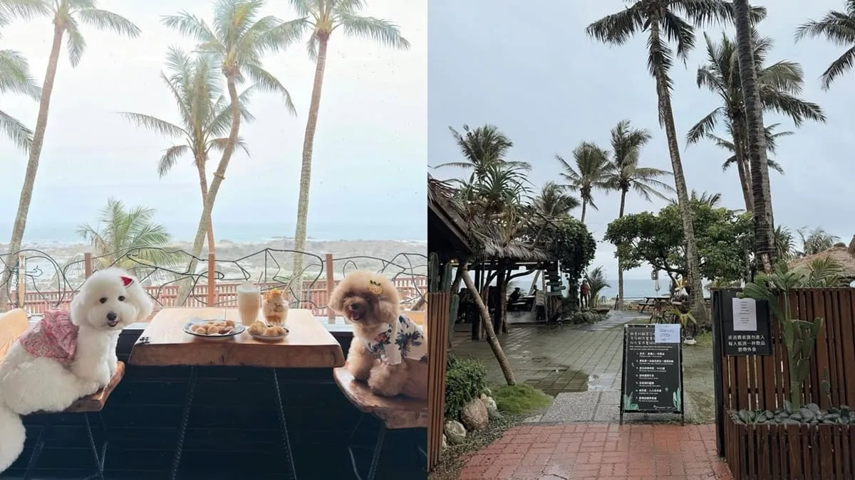 可可娜咖啡Coconut Cafe