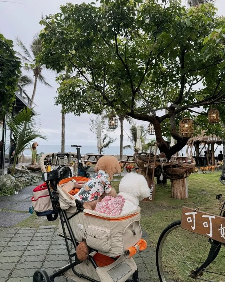 可可娜咖啡Coconut Cafe