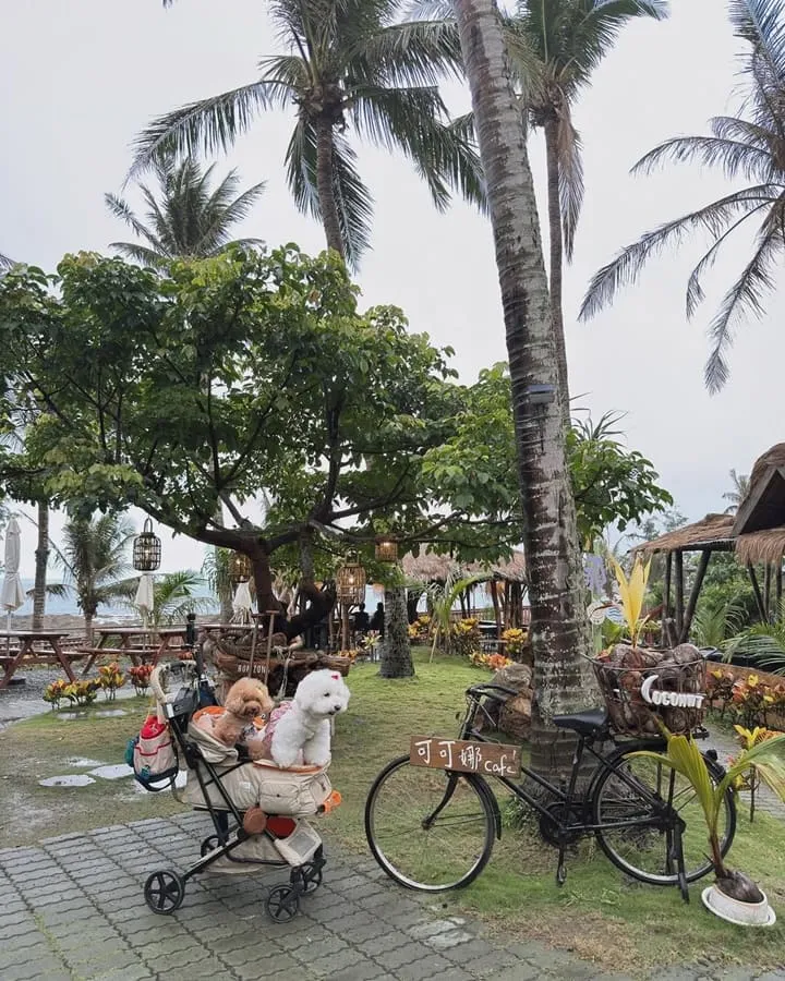 可可娜咖啡Coconut Cafe