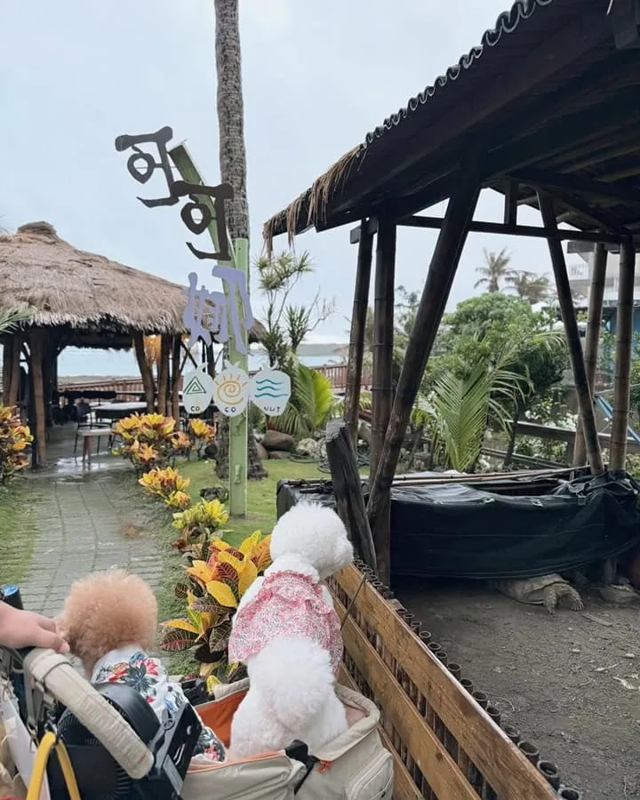 可可娜咖啡Coconut Cafe
